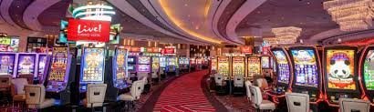 5667bet 5667bet